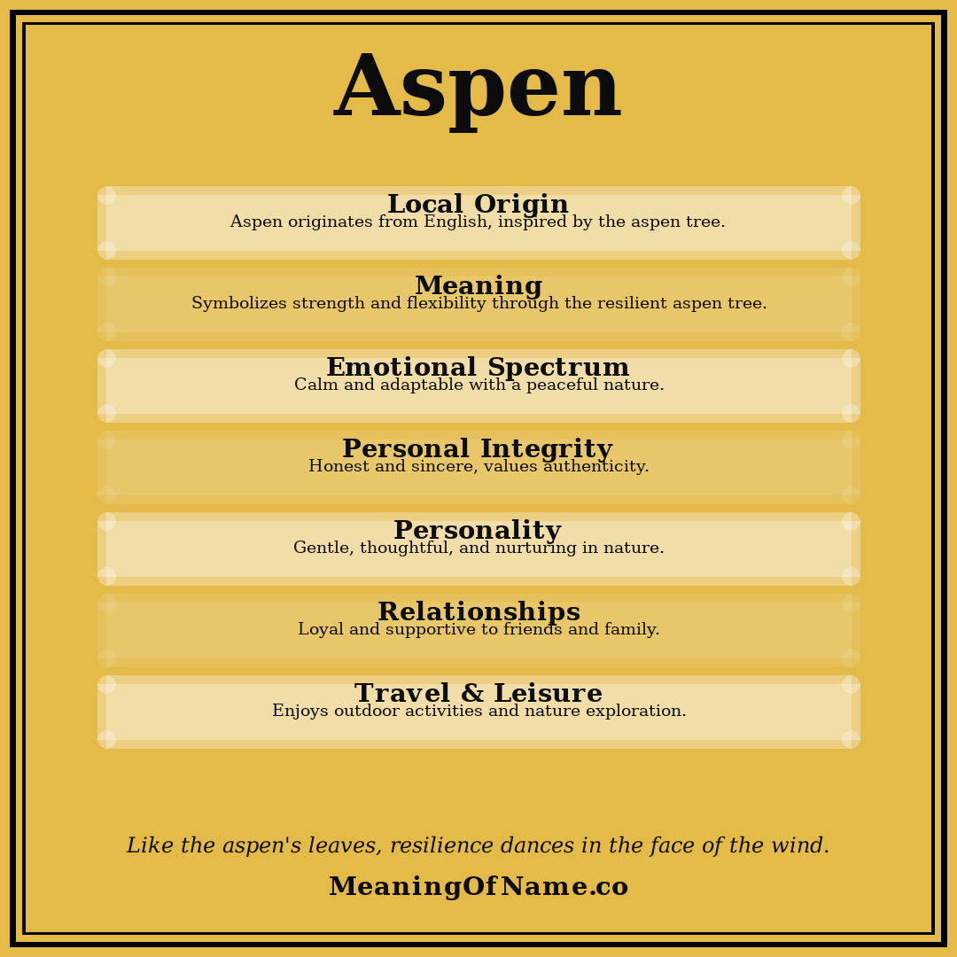 Aspen name meaning poster