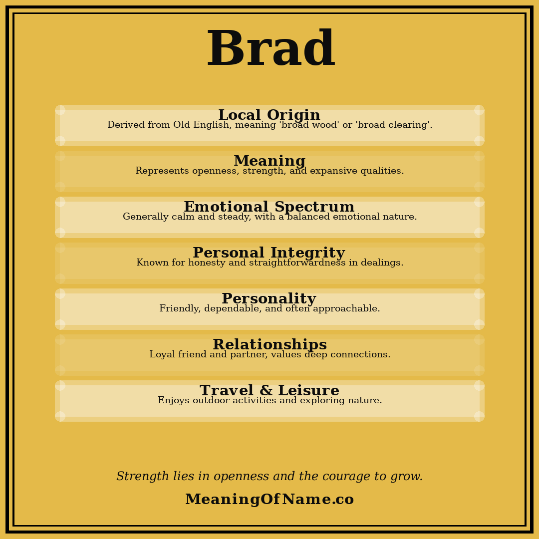 Brad name meaning poster