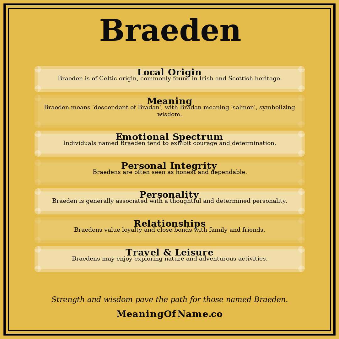 Braeden name meaning poster