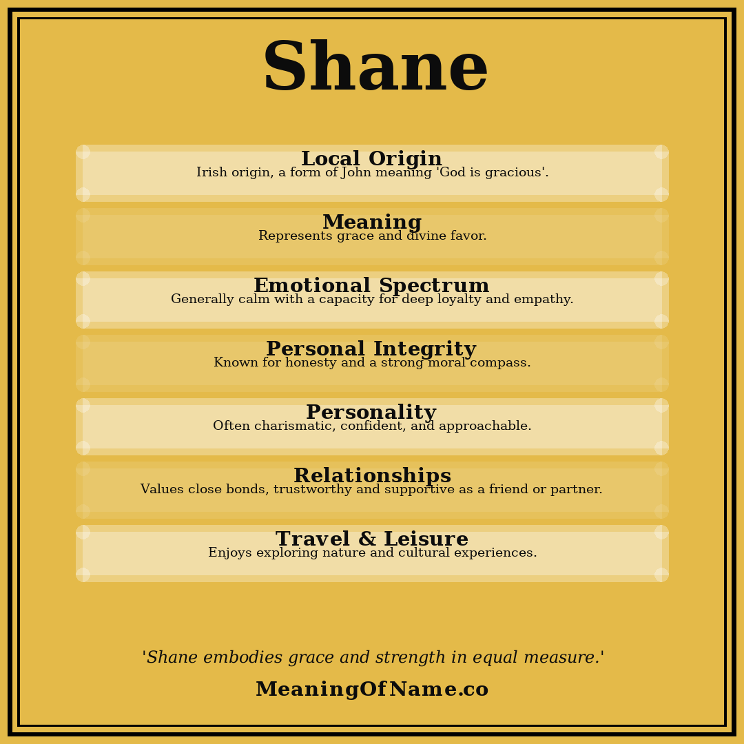 Shane name meaning poster