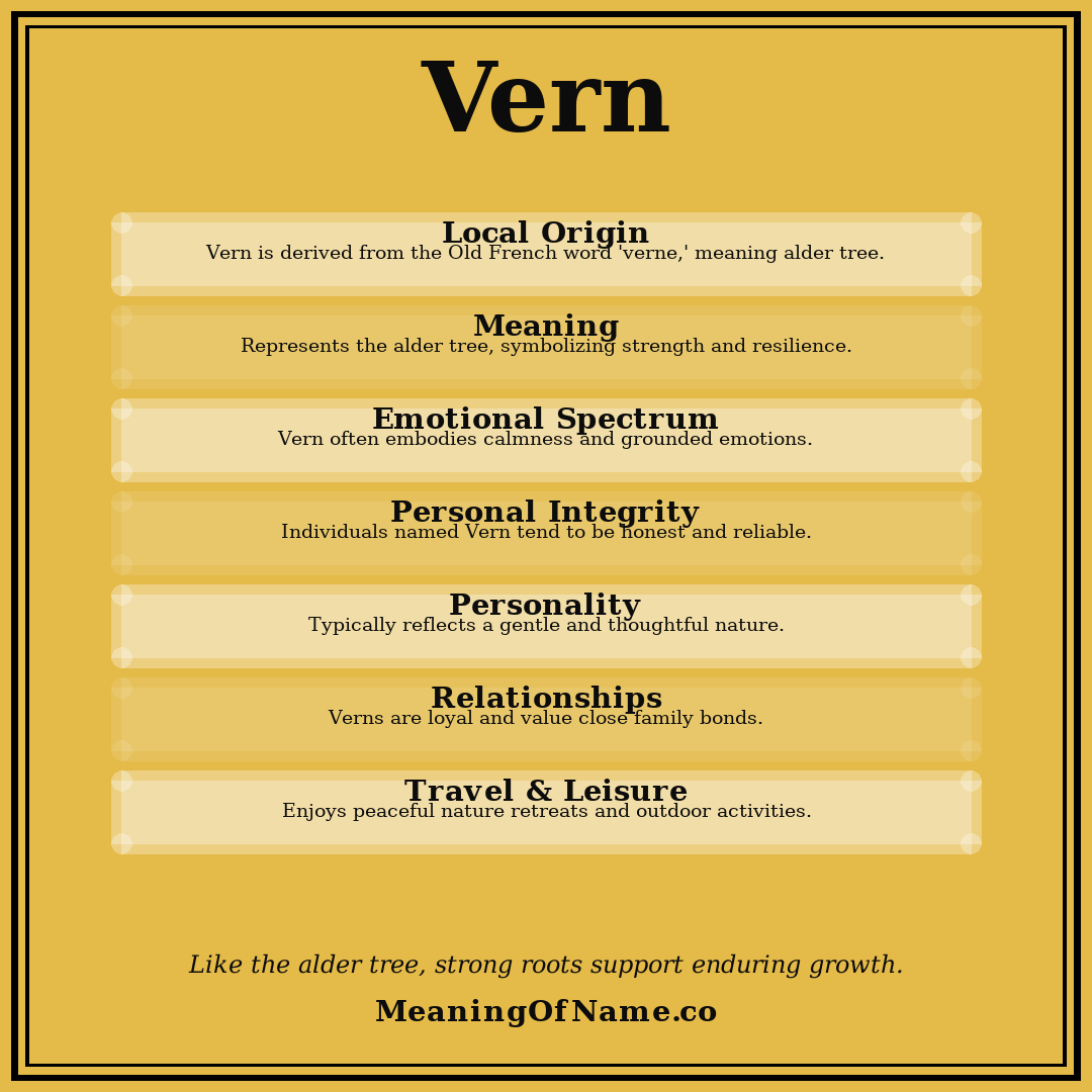 Vern name meaning poster