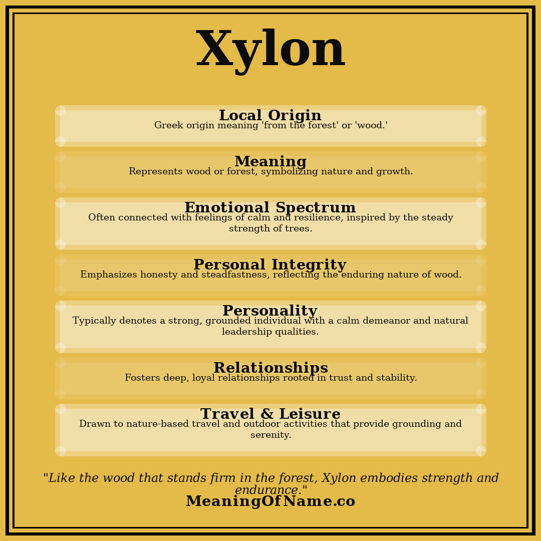 Xylon name meaning poster