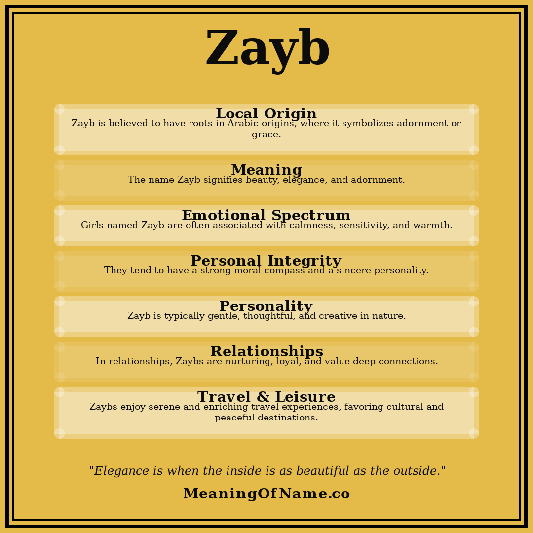 Zayb name meaning poster