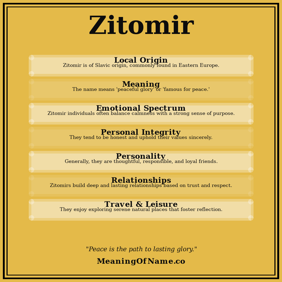 Zitomir name meaning poster